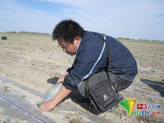 2010年5月16日，农忙时节志愿者李元培在进行农耕作业。河南牧业经济学院团委 供图